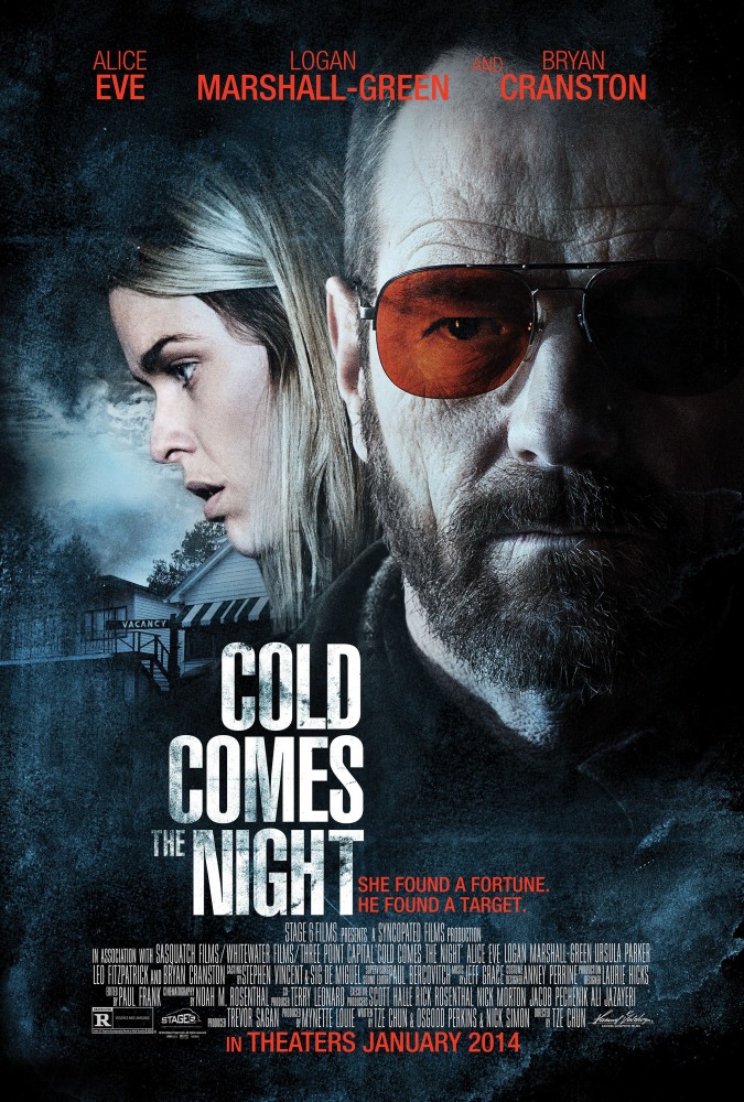 Взгляд зимы / Cold Comes the Night (2013) смотреть онлайн в хорошем качестве бесплатно